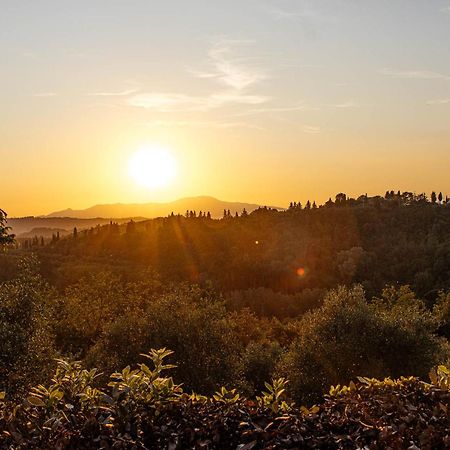 Collebrunacchi B&B San Miniato Eksteriør bilde