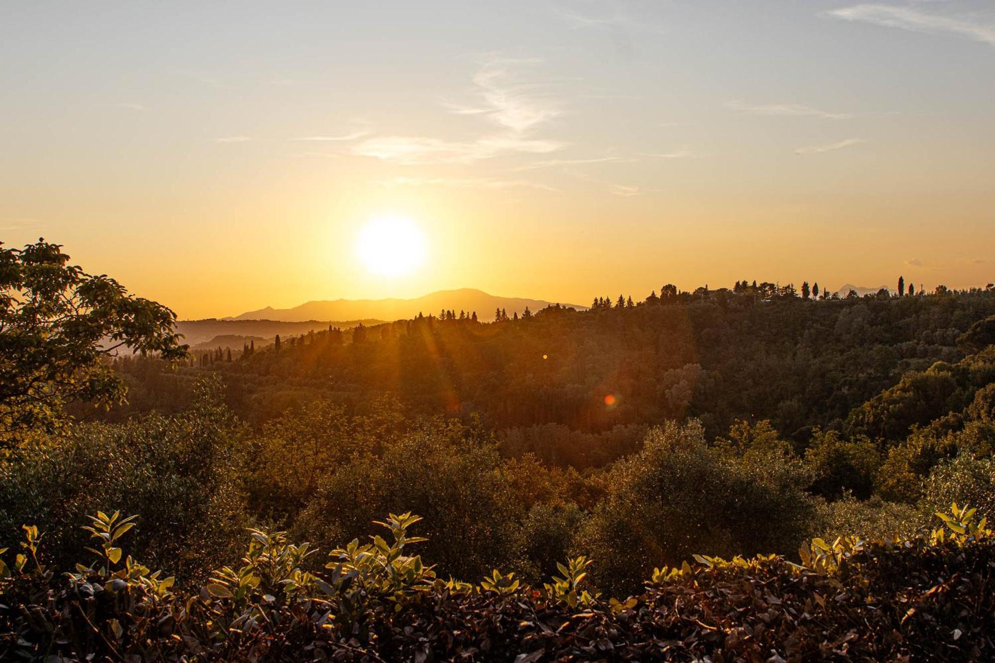 Collebrunacchi B&B San Miniato Eksteriør bilde
