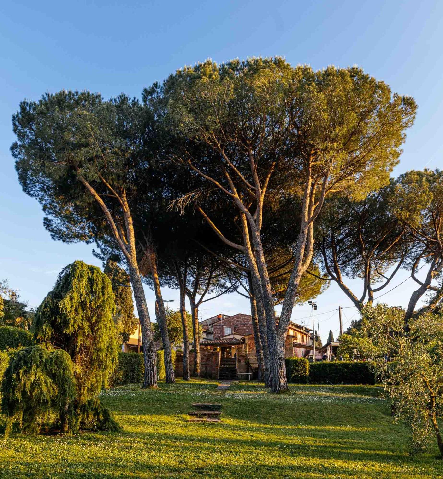 Collebrunacchi B&B San Miniato Eksteriør bilde